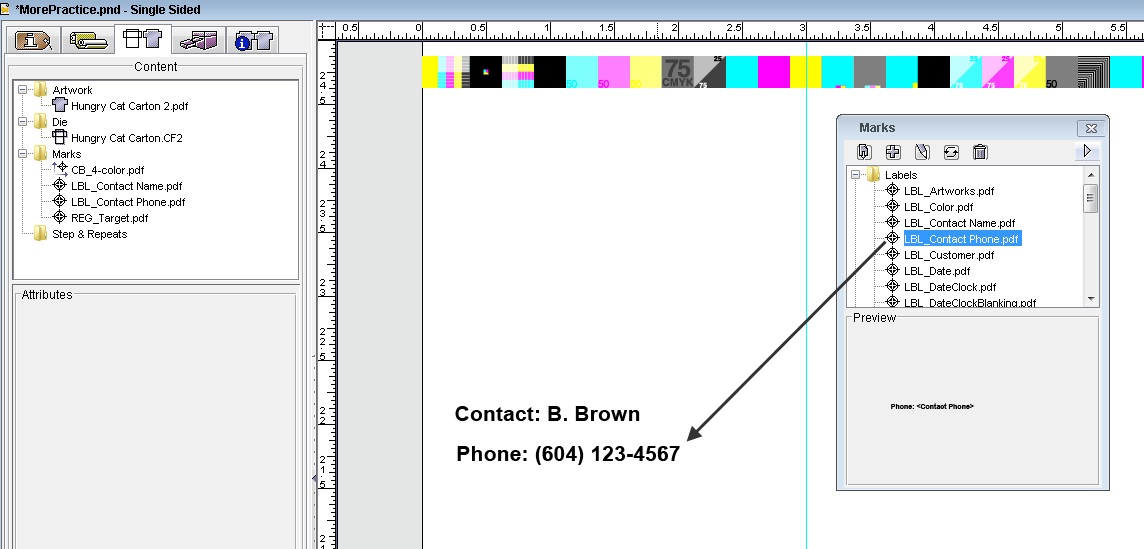 Pandora training > Objective 4—Add contact information to the substrate > ContactNamePhoneLabelMarks.png